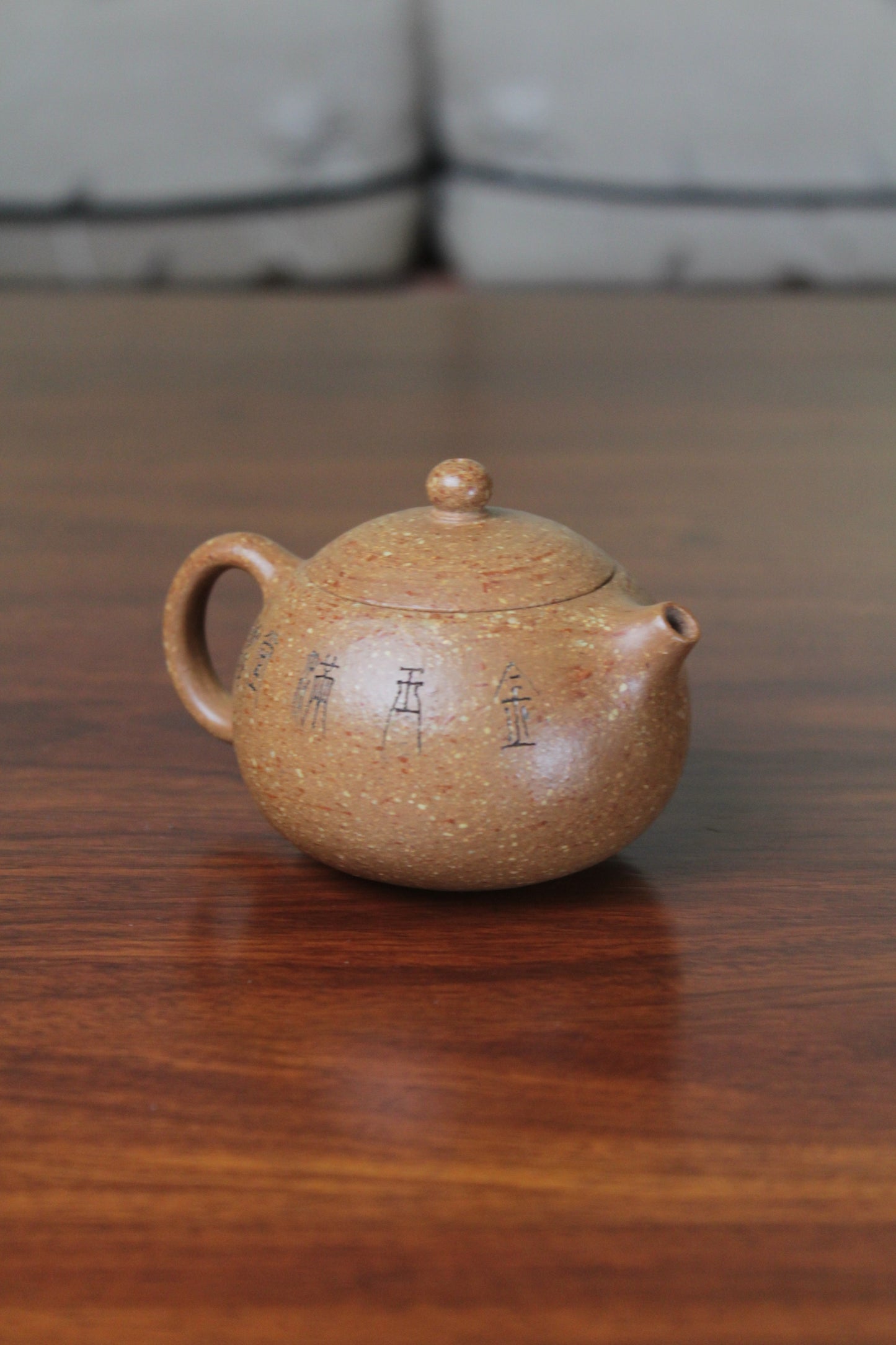 xi shi teapot Yixing clay teapot back right