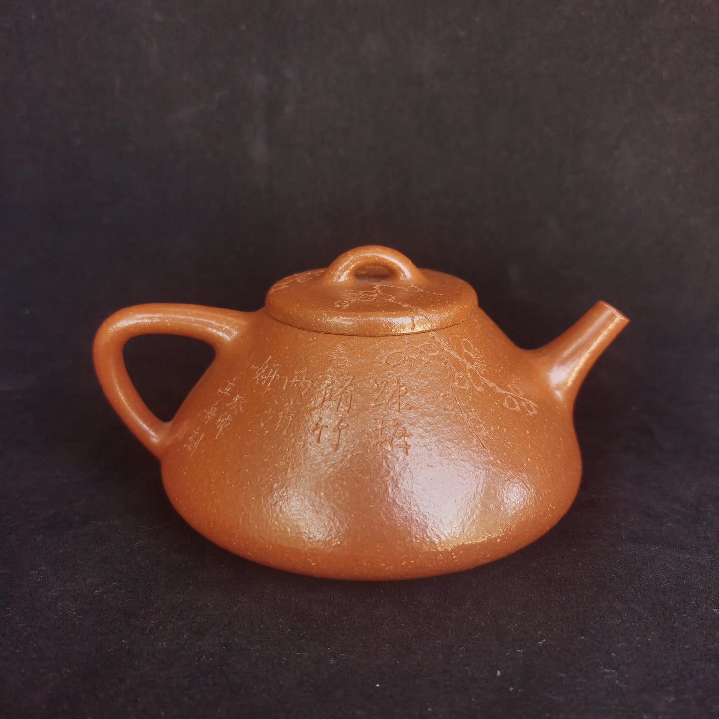 Artistic teapots shi piao from zisha art gallery right back | SiYuTao Teapot