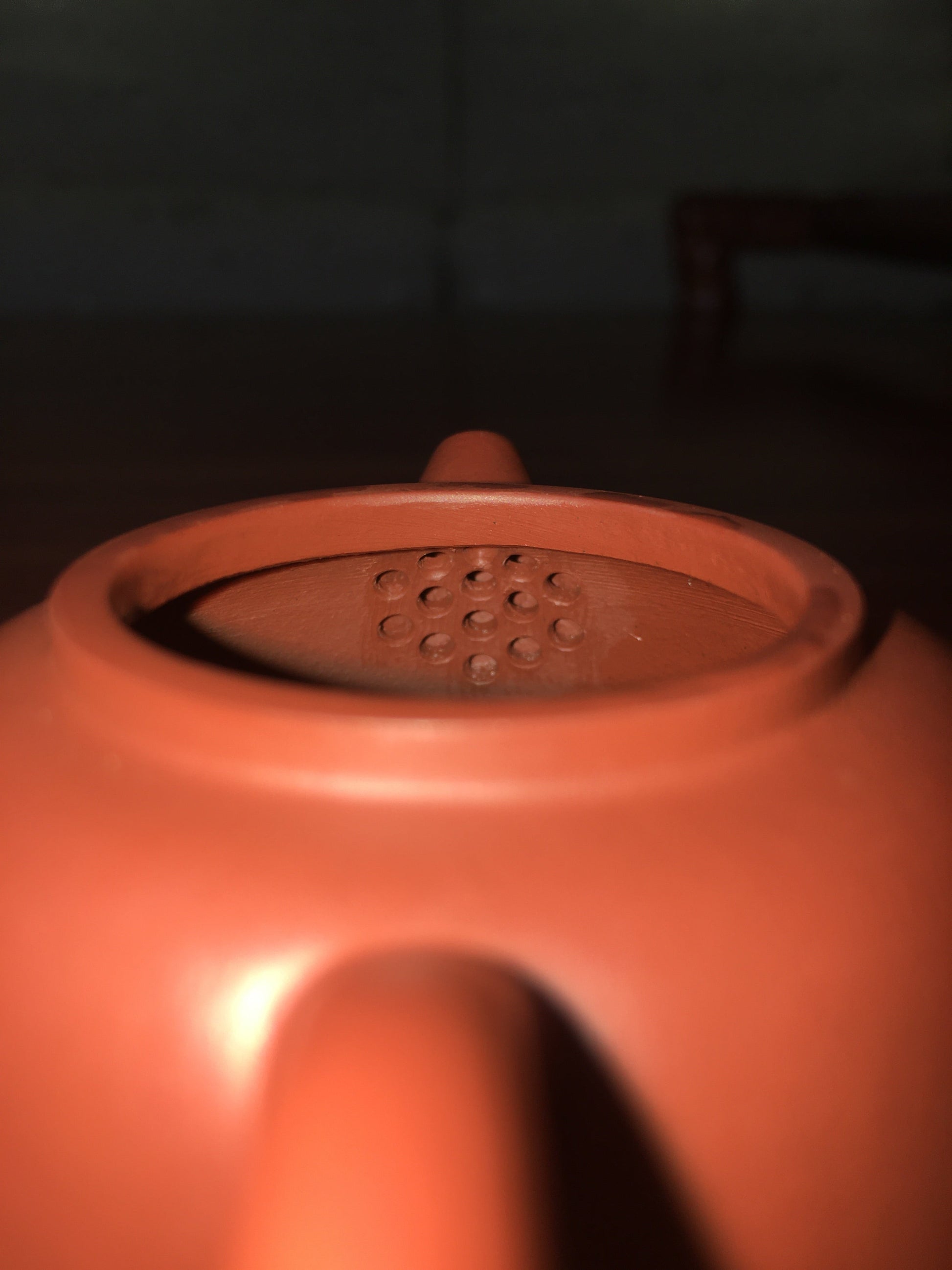 Artwork Yixing teapot Sea turtles 110ml fully handmade by Jing Hu - SiYuTao Teapot