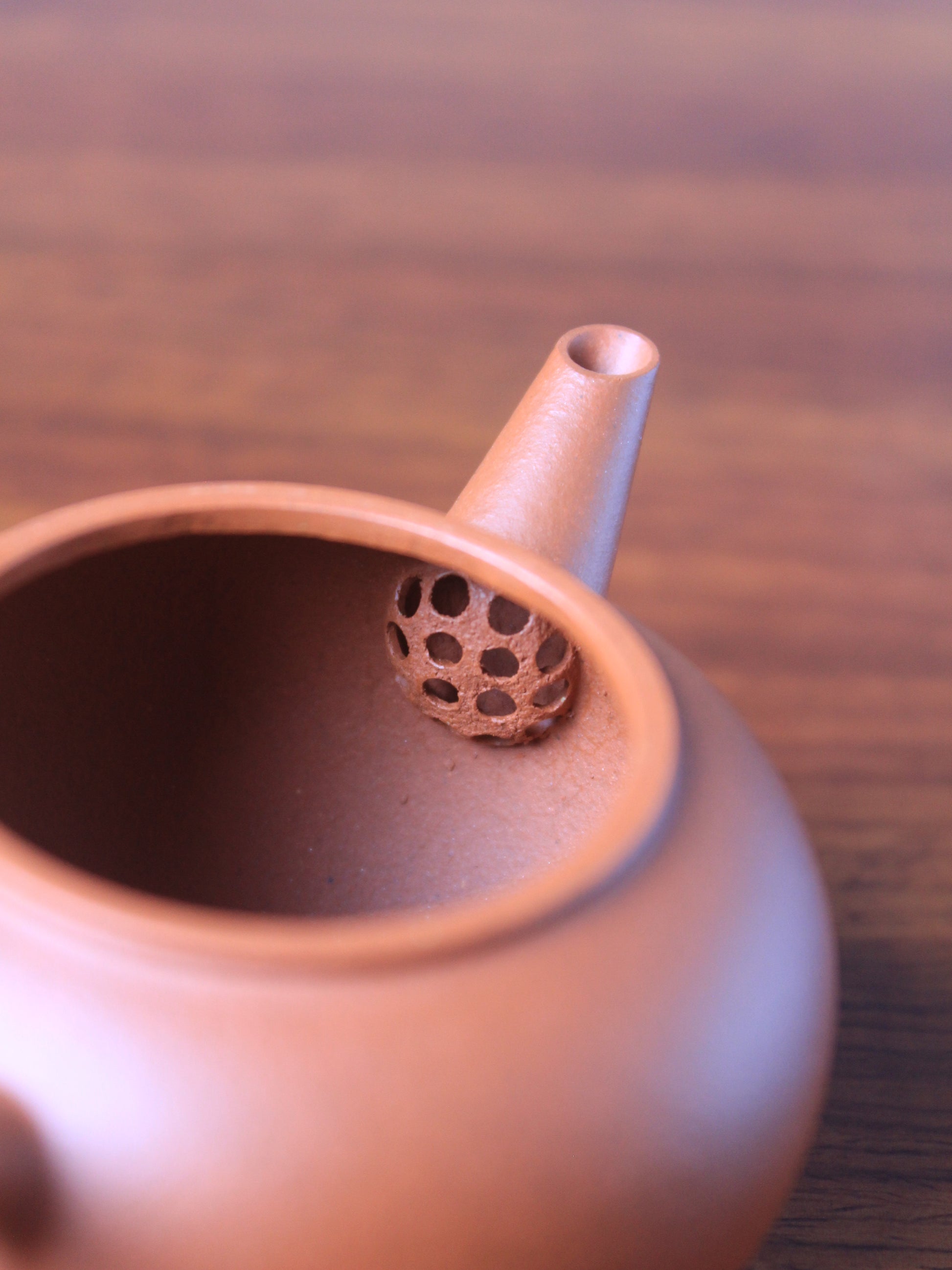 filter of the loose leaf tea pot