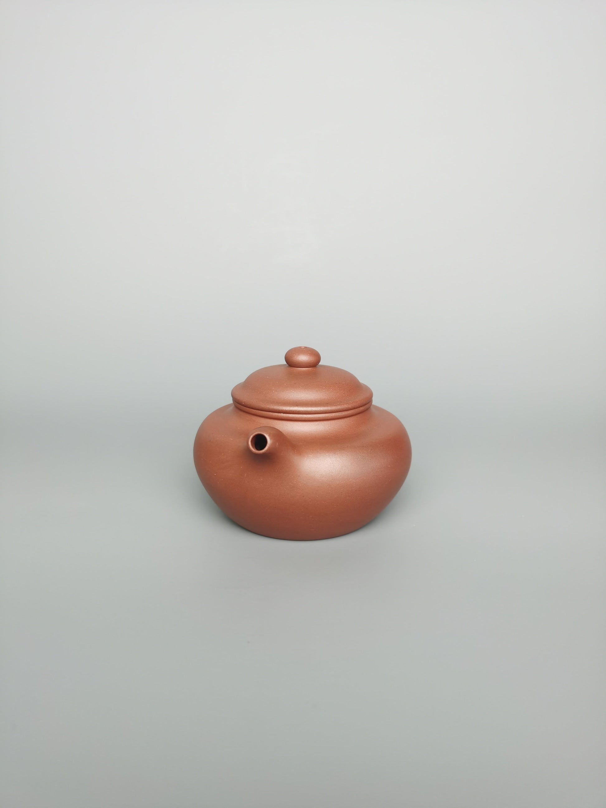 Siyutao Fang Gu teapot 205ml full handcraft teapot - SiYuTao Teapot