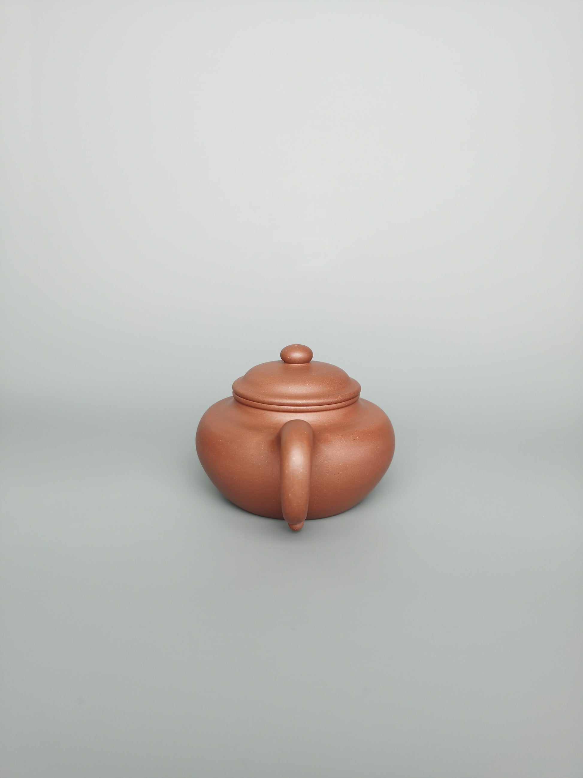 Siyutao Fang Gu teapot 205ml full handcraft teapot - SiYuTao Teapot
