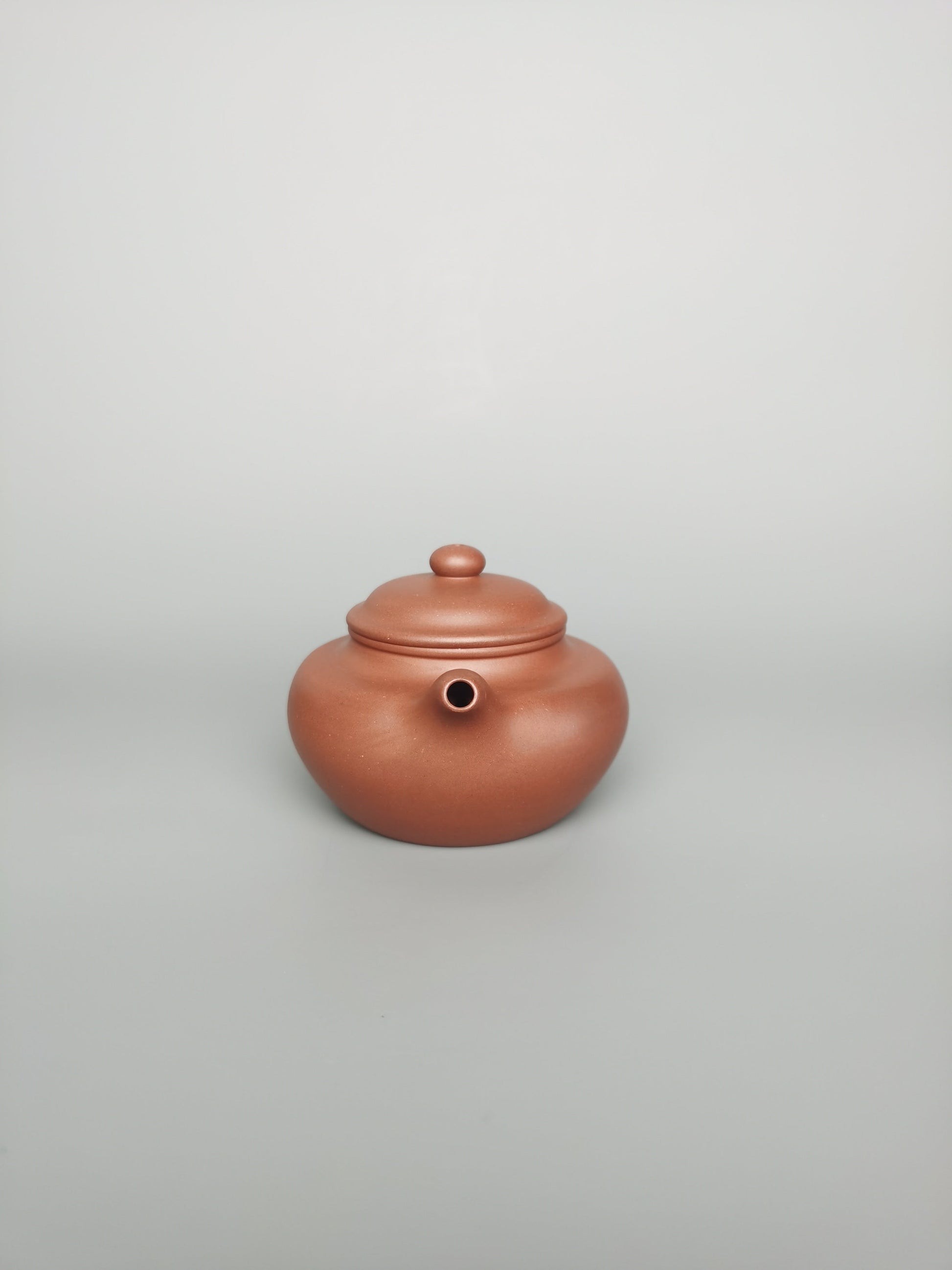 Siyutao Fang Gu teapot 205ml full handcraft teapot - SiYuTao Teapot