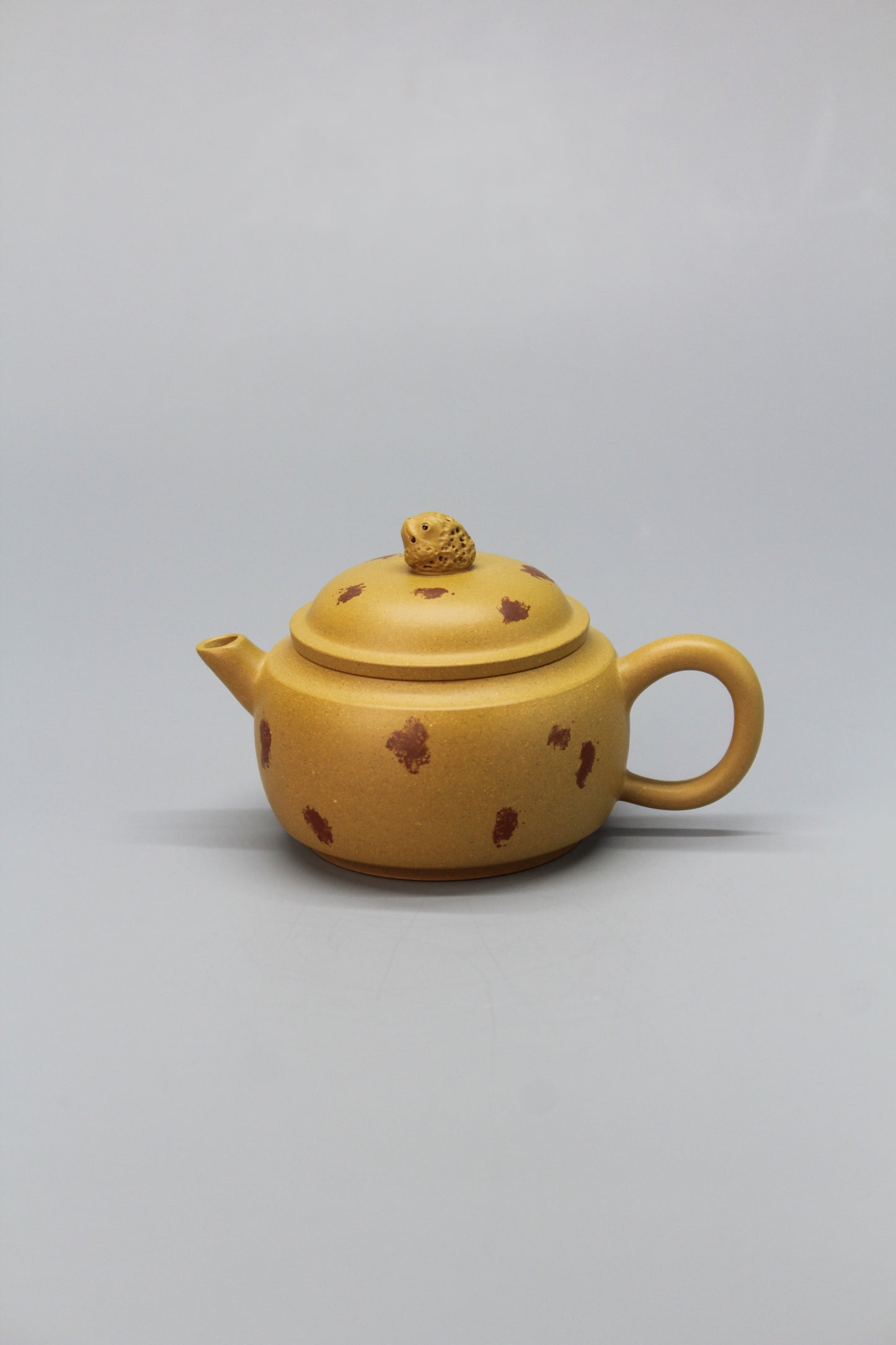 A cute small teapot for one front