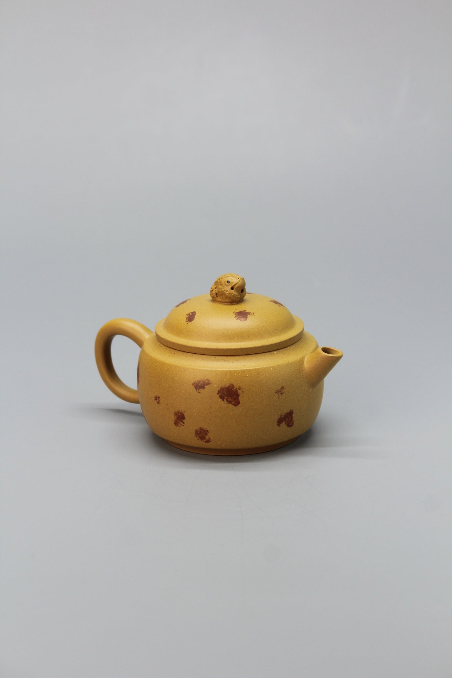 A cute small teapot for one back right
