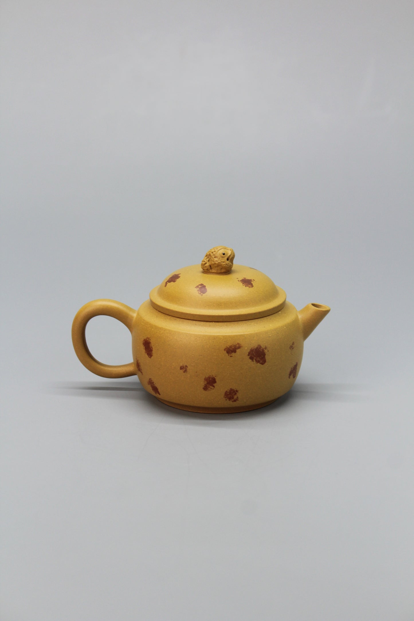 A cute small teapot for one back