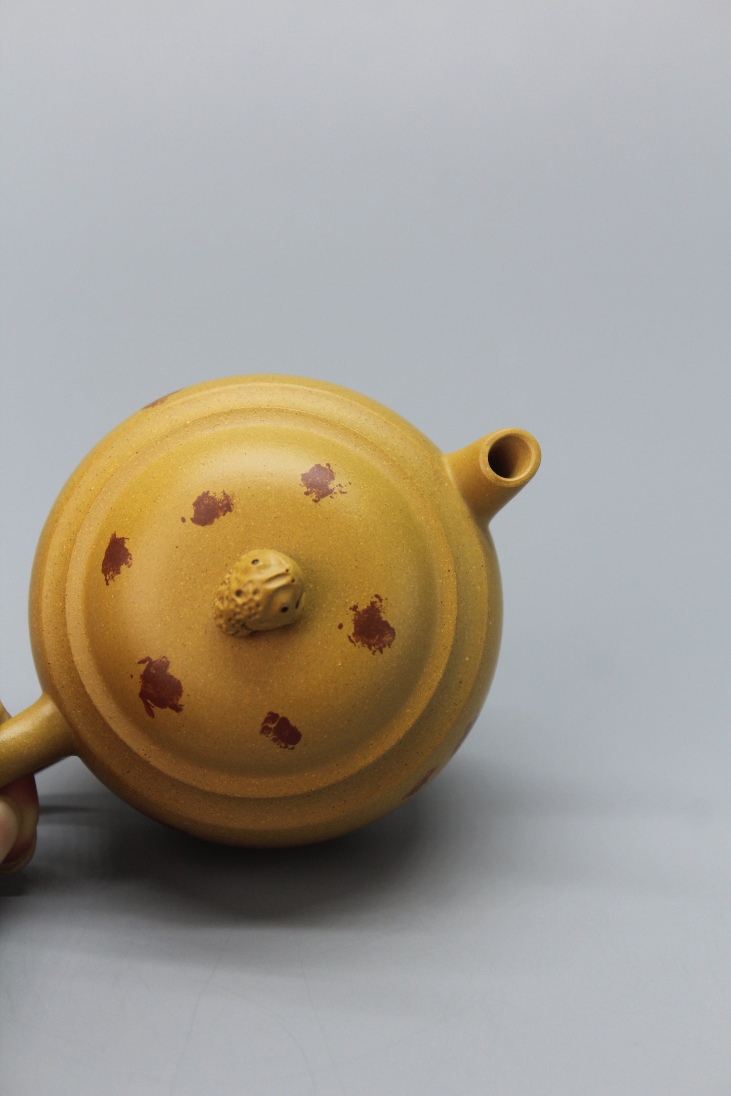 A cute small teapot for one lid