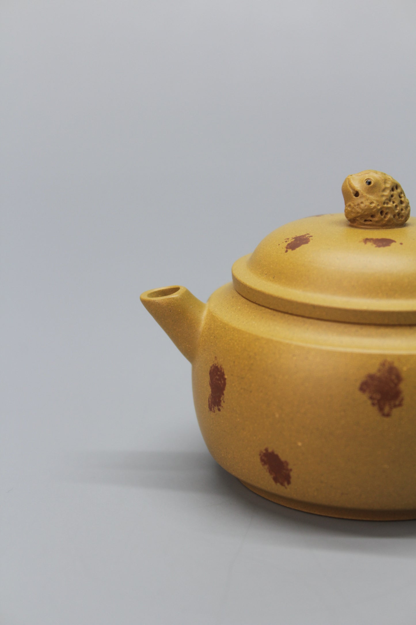A cute small teapot for one mouth