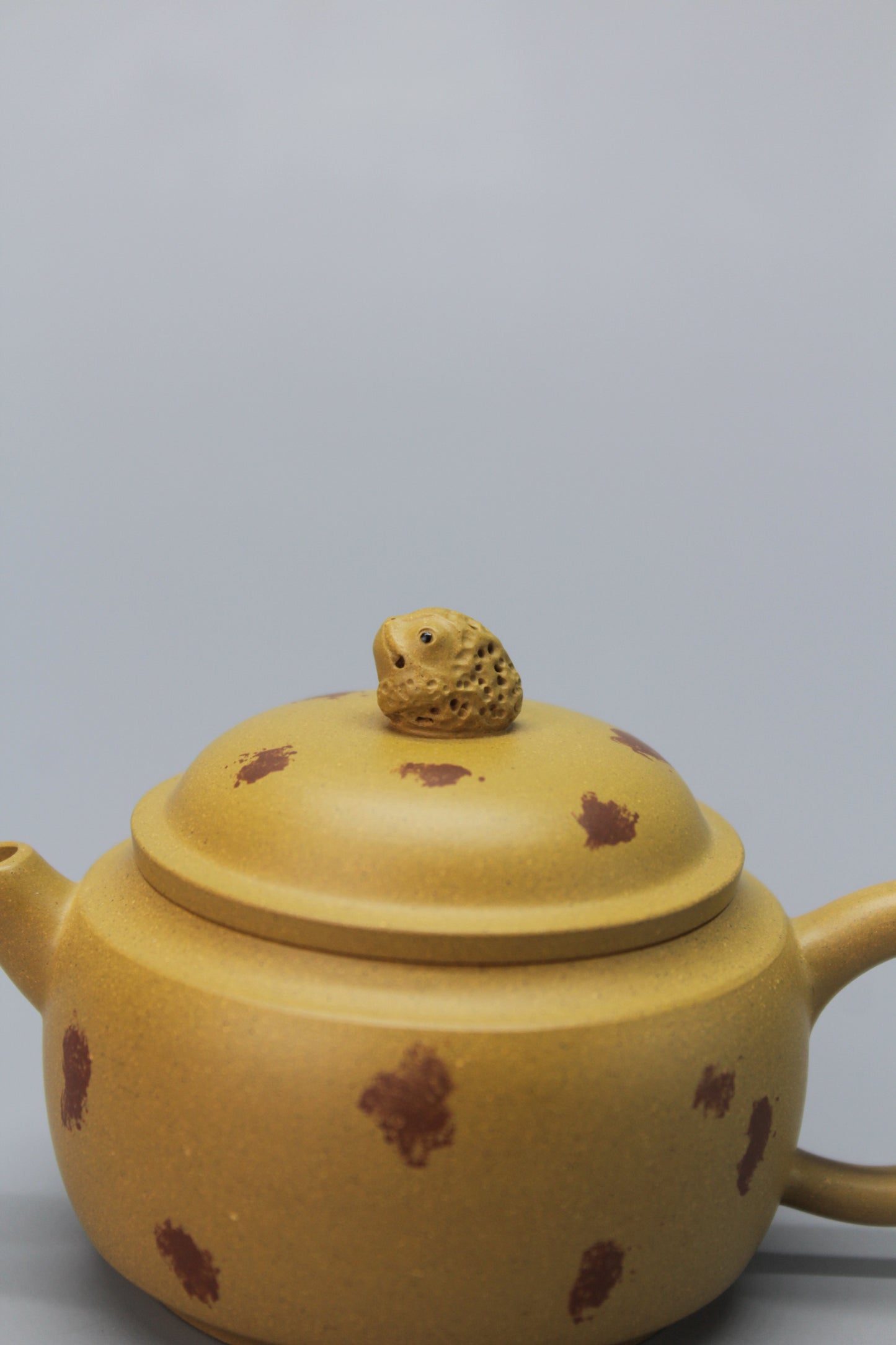 A cute small teapot for one lid