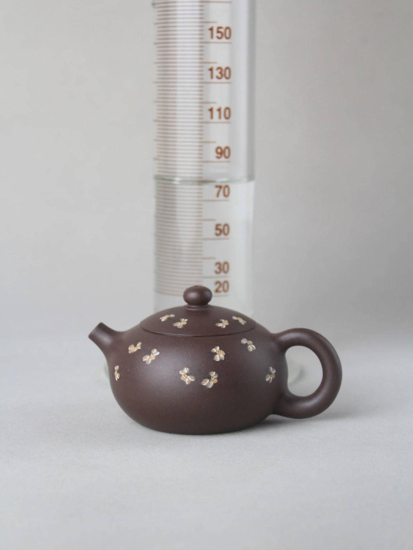 small size zisha teapot named xishi for gongfutea