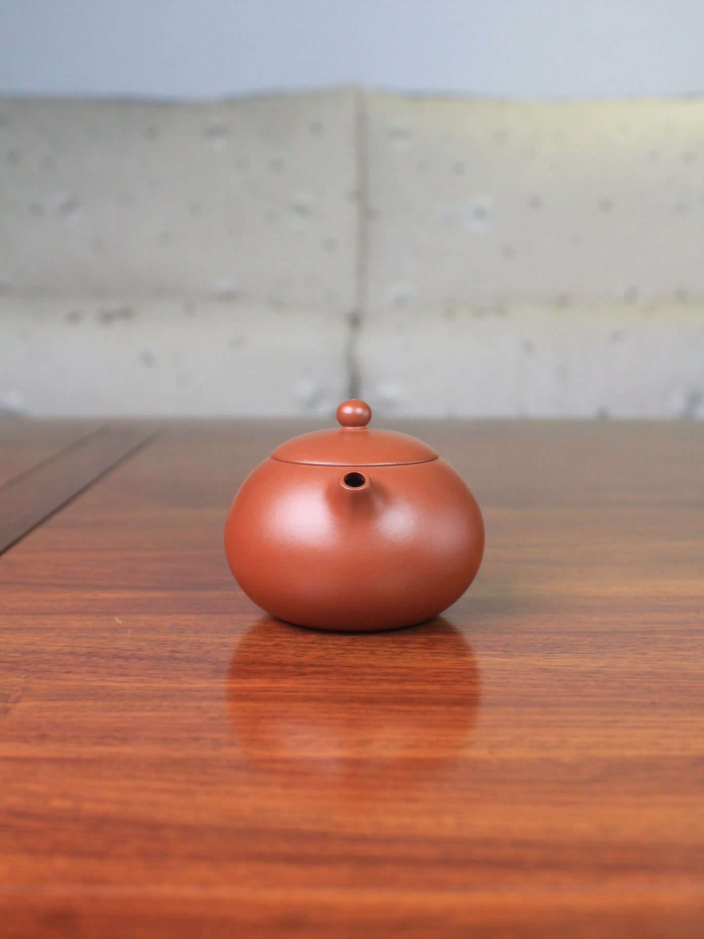 Spout of the xishi teapot