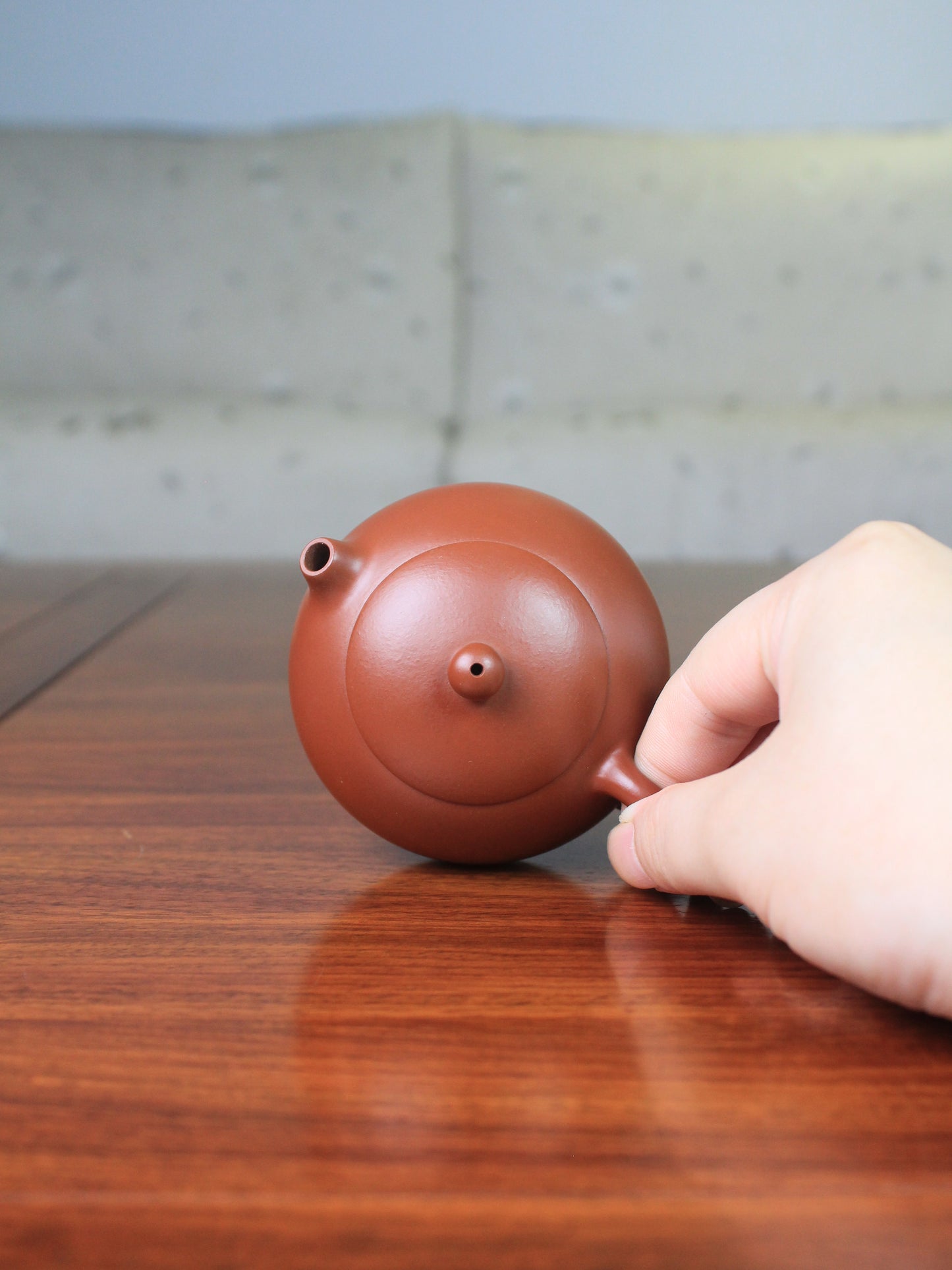 Top view of the xishi teapot