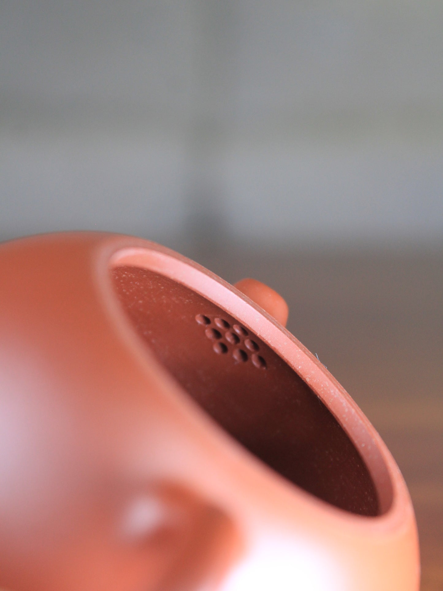 Filter of the xishi teapot