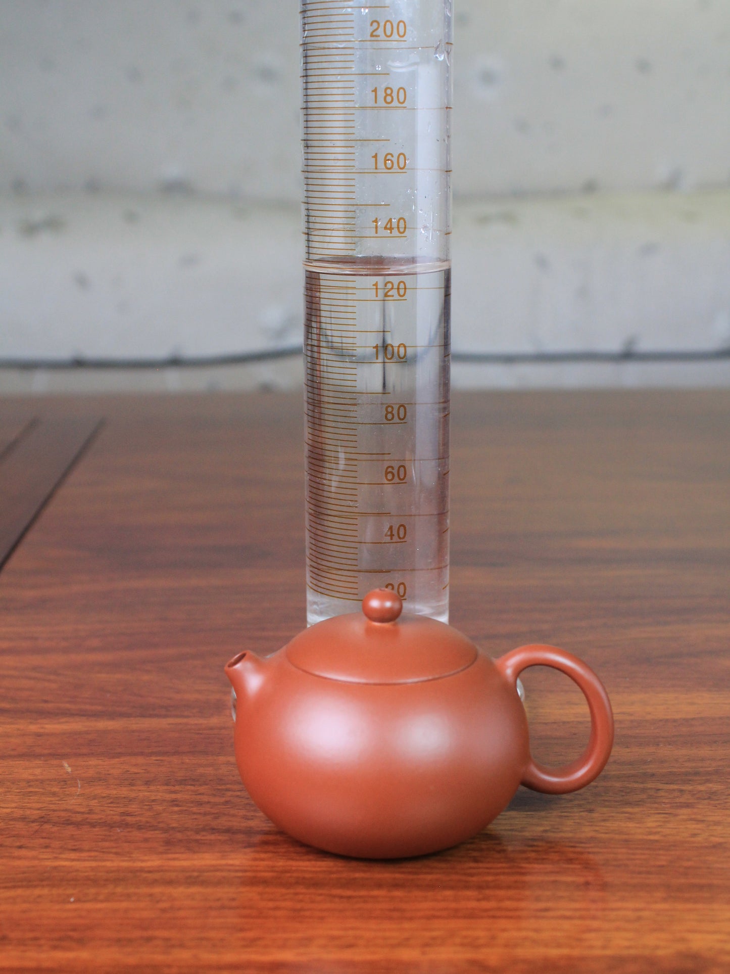 Size of the xishi teapot
