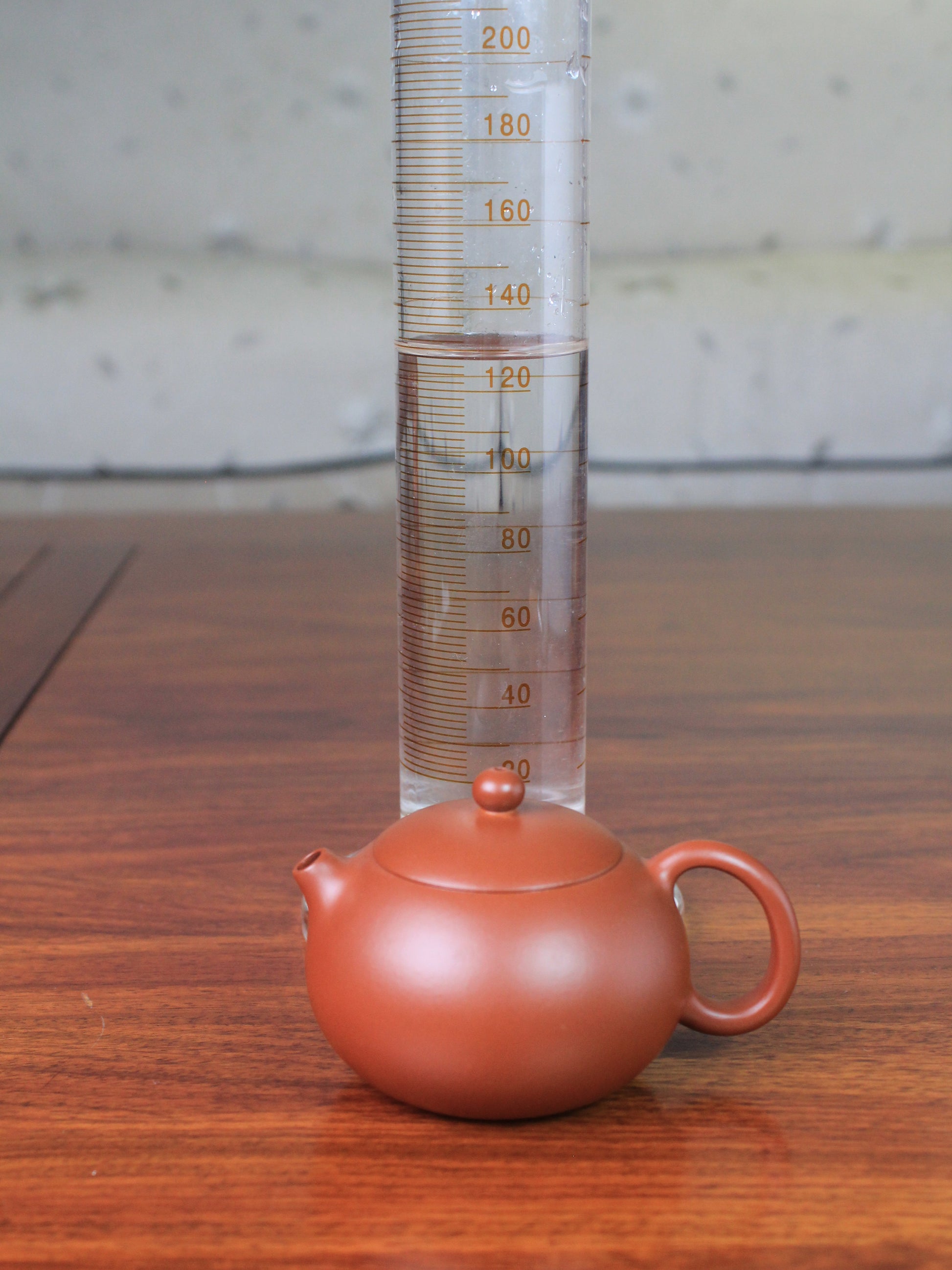 Size of the xishi teapot