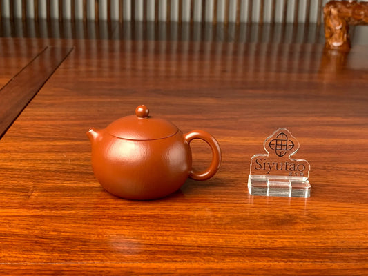 xishi teapot