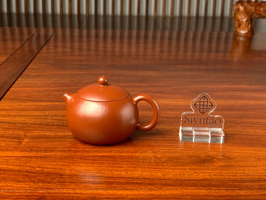 xishi teapot