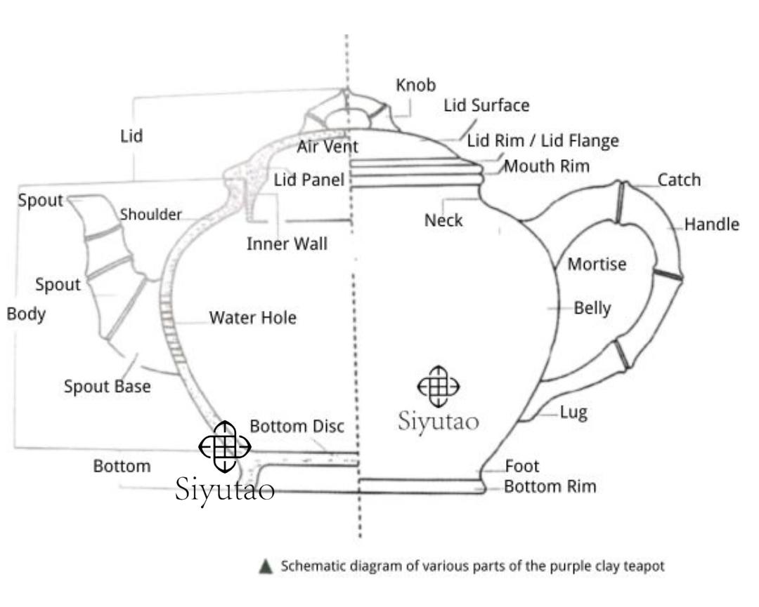What is the structural components of a Zisha teapot ? – SiYuTao Teapot