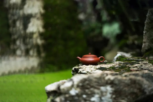 The Bianyuan Chinese yixing clay teapot