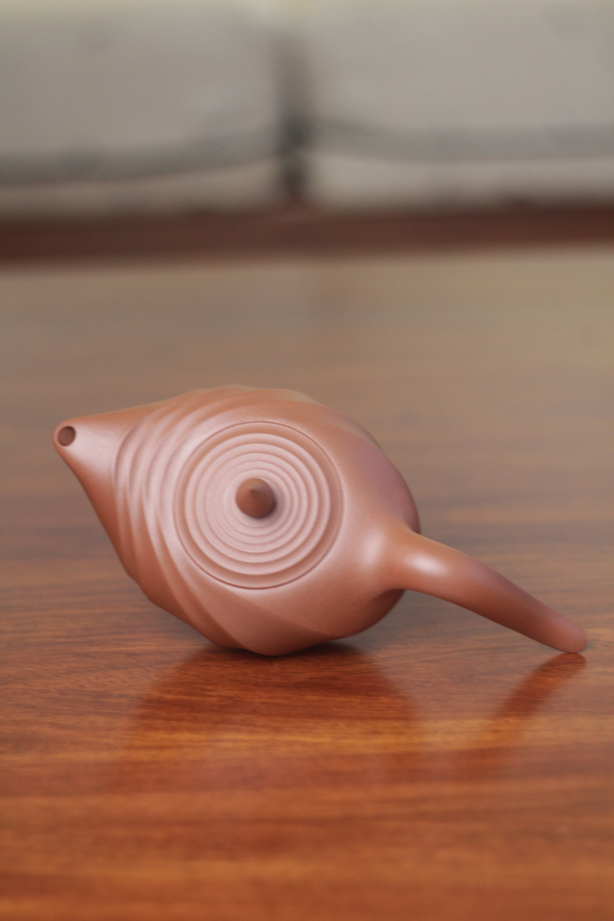 主页