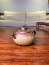 Siyutao artwork teapot he tun fish 280ml fully handmade by Wei Ren