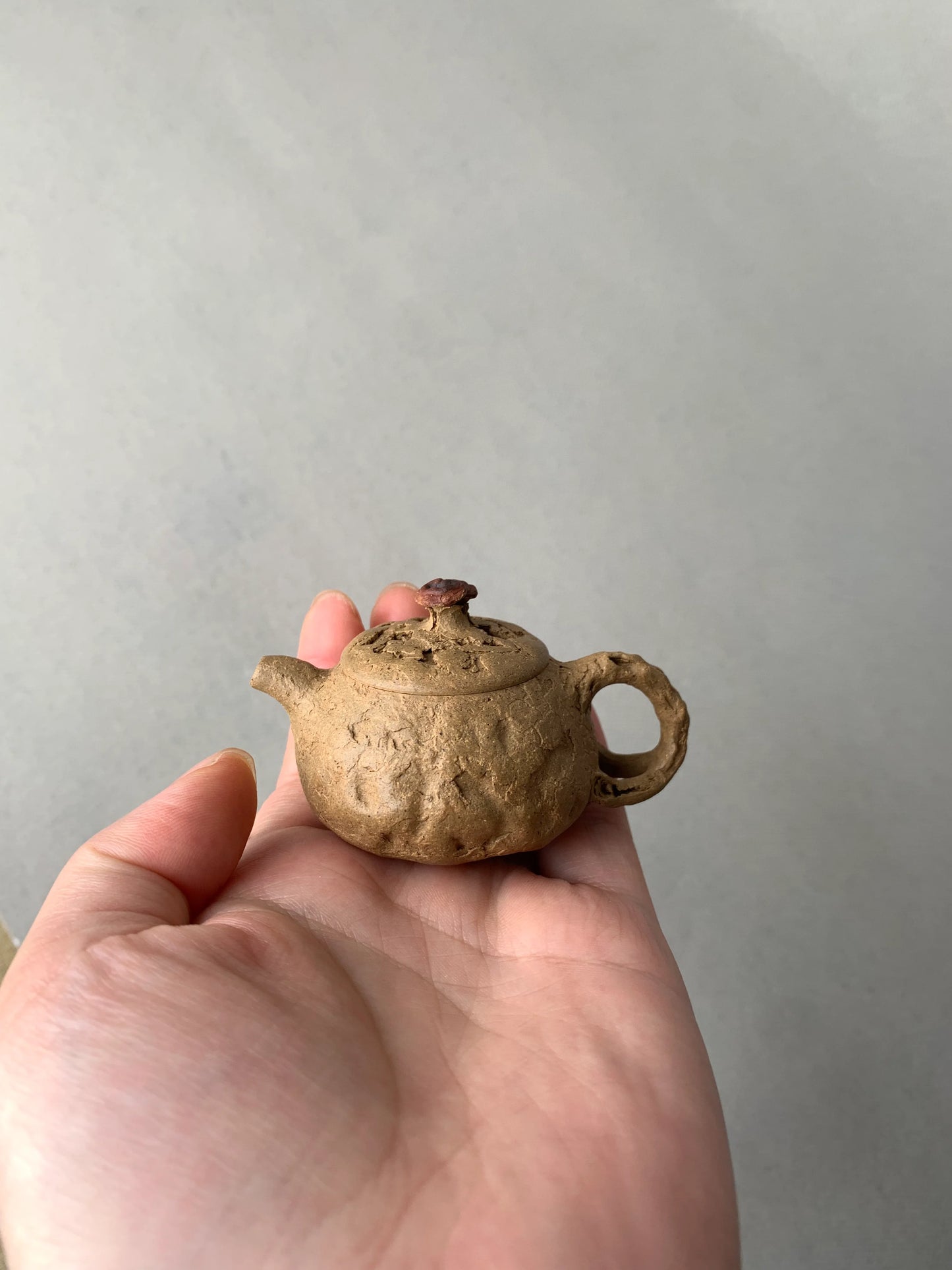 Yixing teapot gong chun 40ml fully handmade by artist Xie duo lian