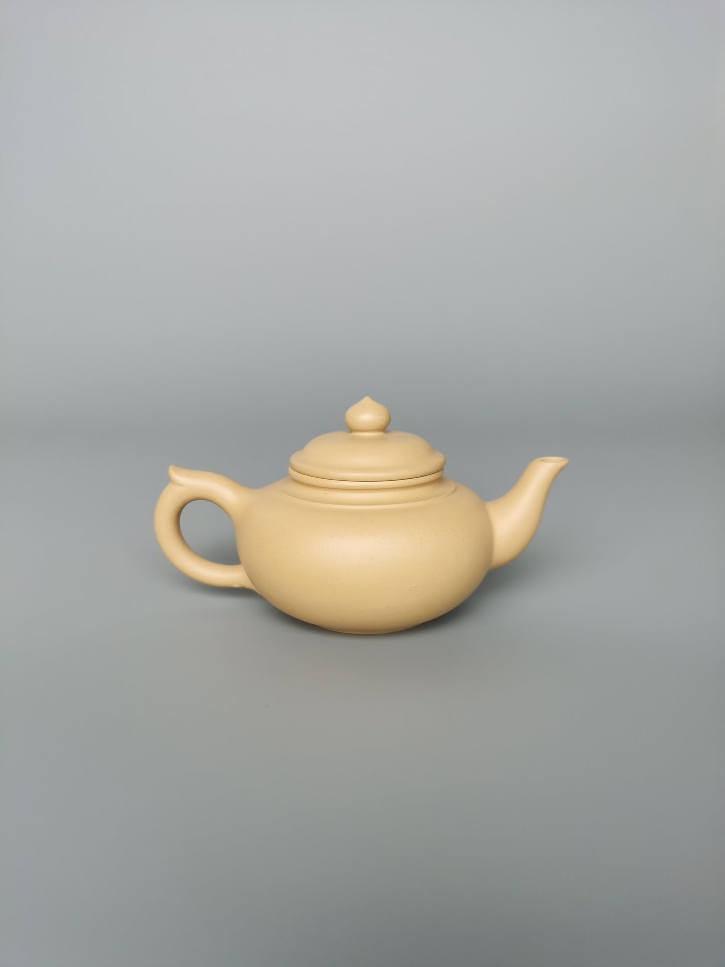 yixing teapot gongfucha teaware small teapot artwork