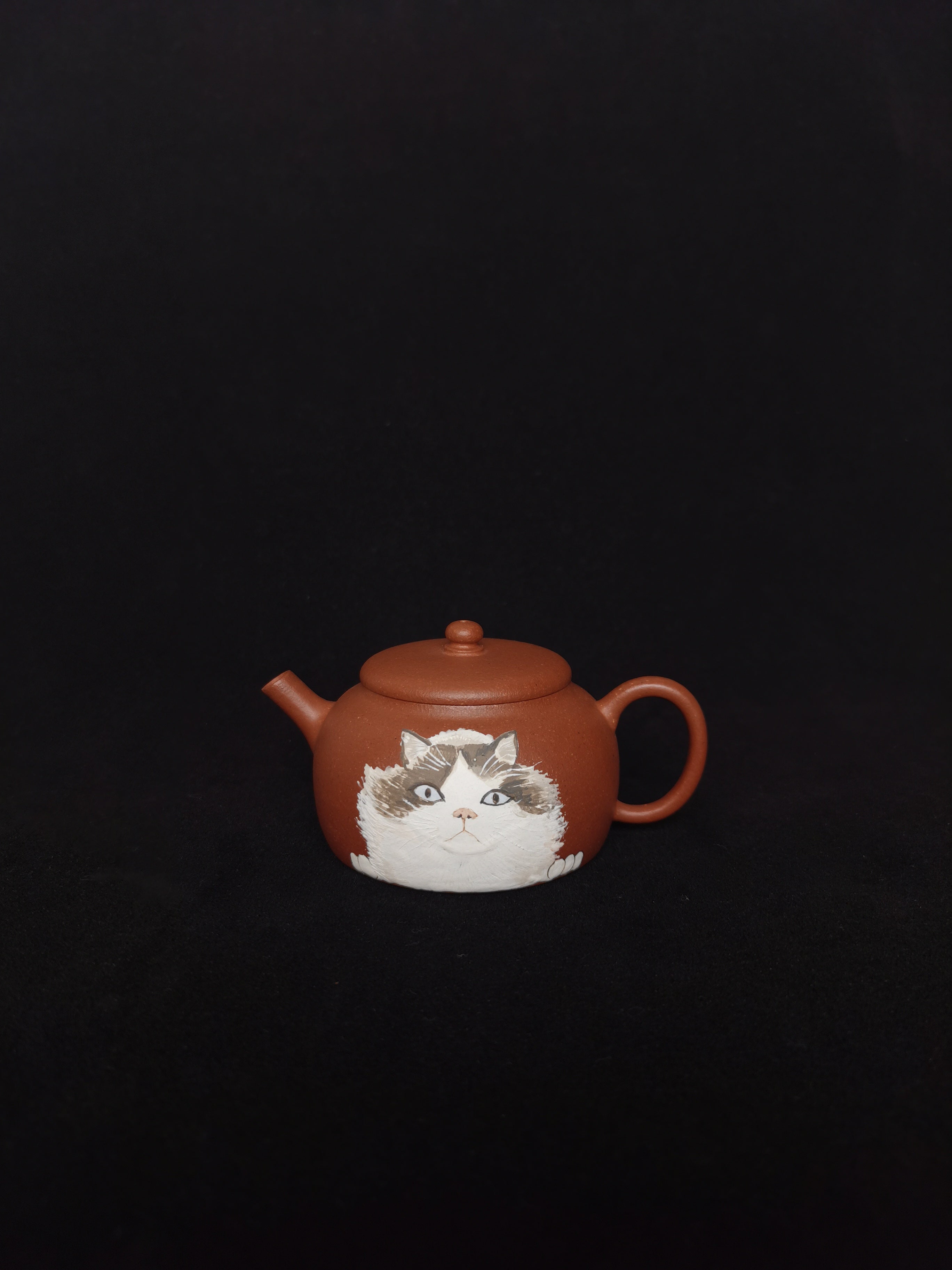 yixing teapot,gongfucha teaware. ấm trà Yixing, dụng cụ pha trà