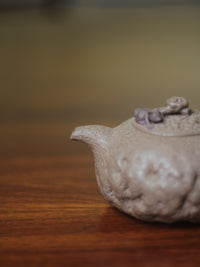 Teapots named squirrels handmade with clay mouth