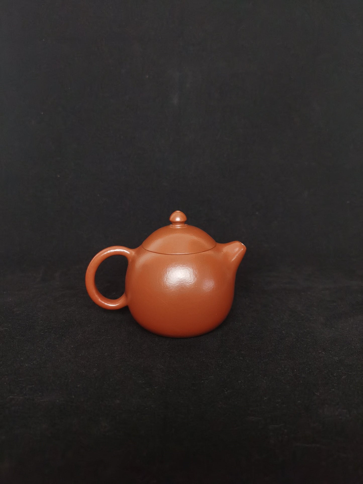 Teapots named dragon egg back