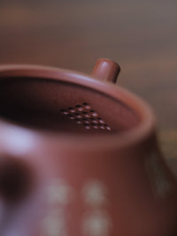 Yixing clay teapot peacock filter