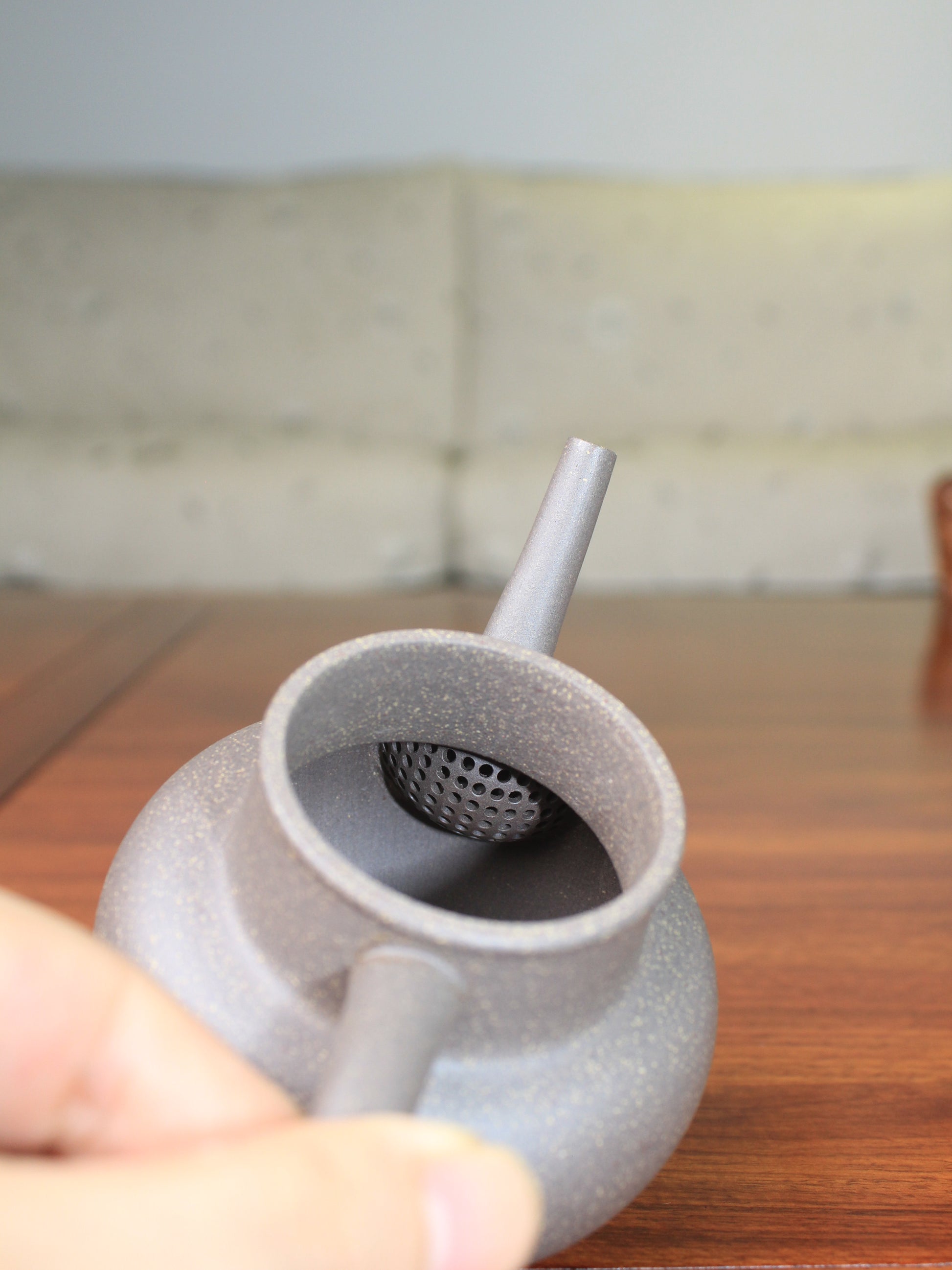 Filter of the Chinese teapot