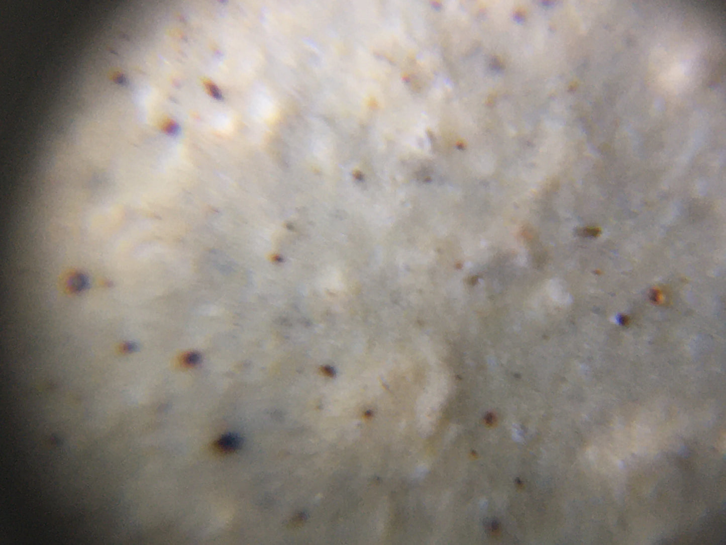 the authentic yixing zisha ben shan lv ni clay