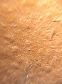 the authentic zisha zhu ni