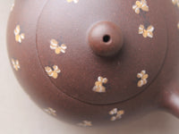 details of small zisha teapot named xishi