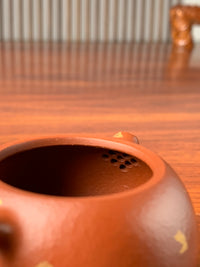 filter of the xishi yixing teapot