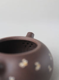 filter of small zisha teapot named xishi