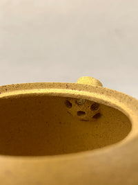 the ball filter of the yixing tea pots xi shi