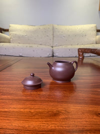 Handmade pottery teapot Pan Hu 180ml - SiYuTao Teapot