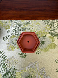 teapot marks of potter wang tao in the lid