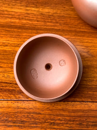 the inside lid marks in the lid