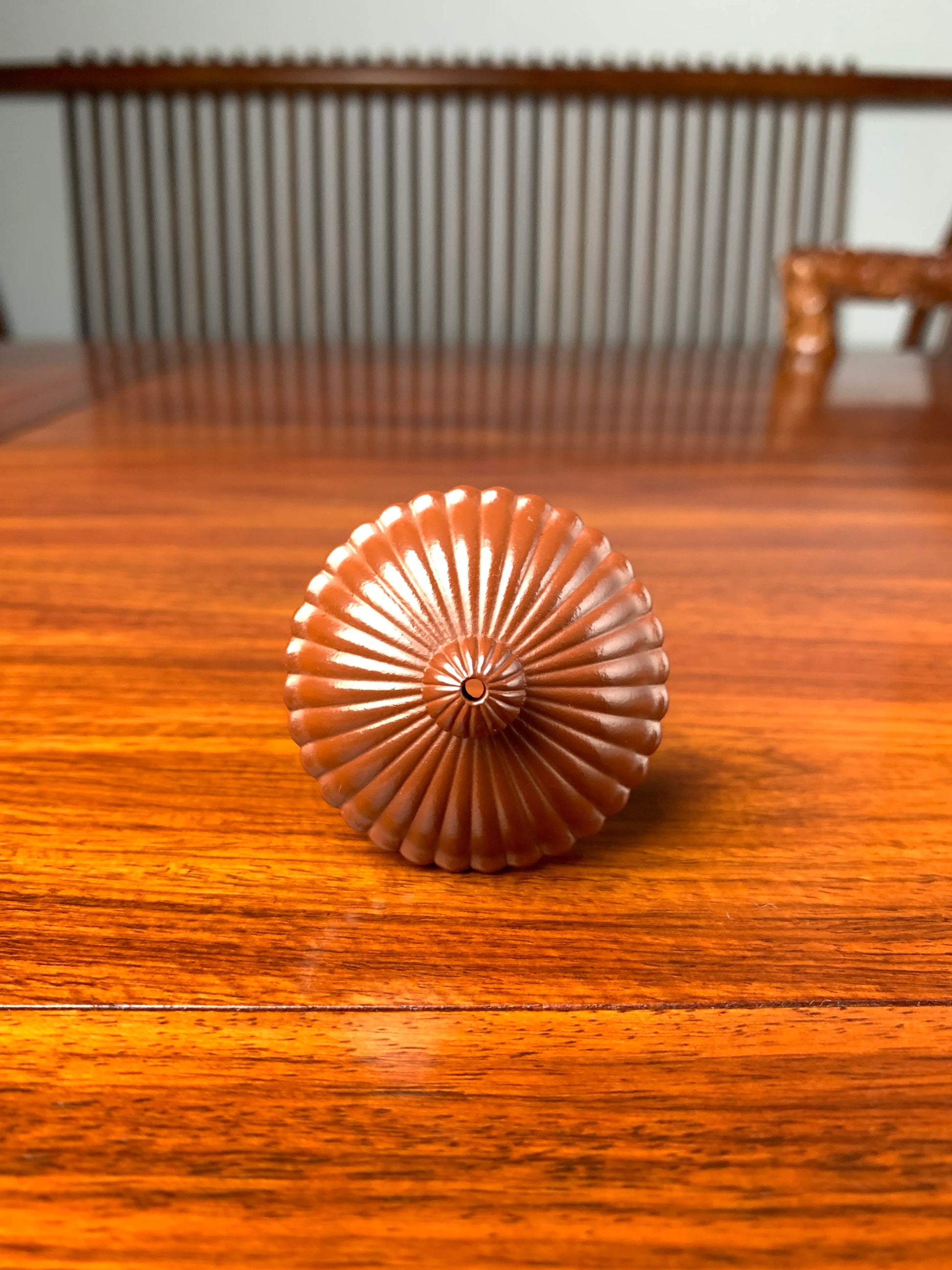 the photo of the lid