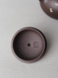teapot lid of small zisha teapot named xishi