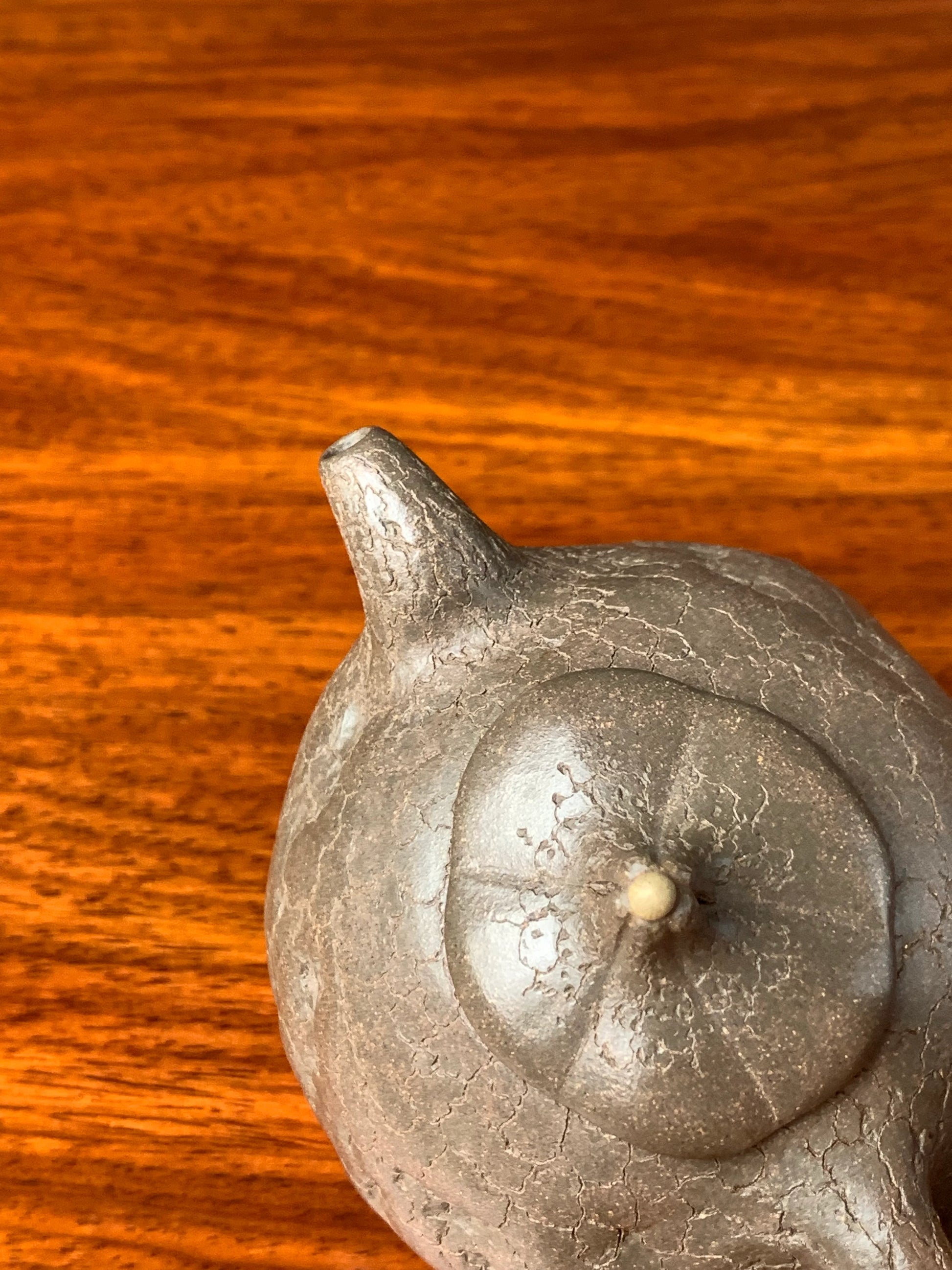 A bird's-eye view of the collectible teapot