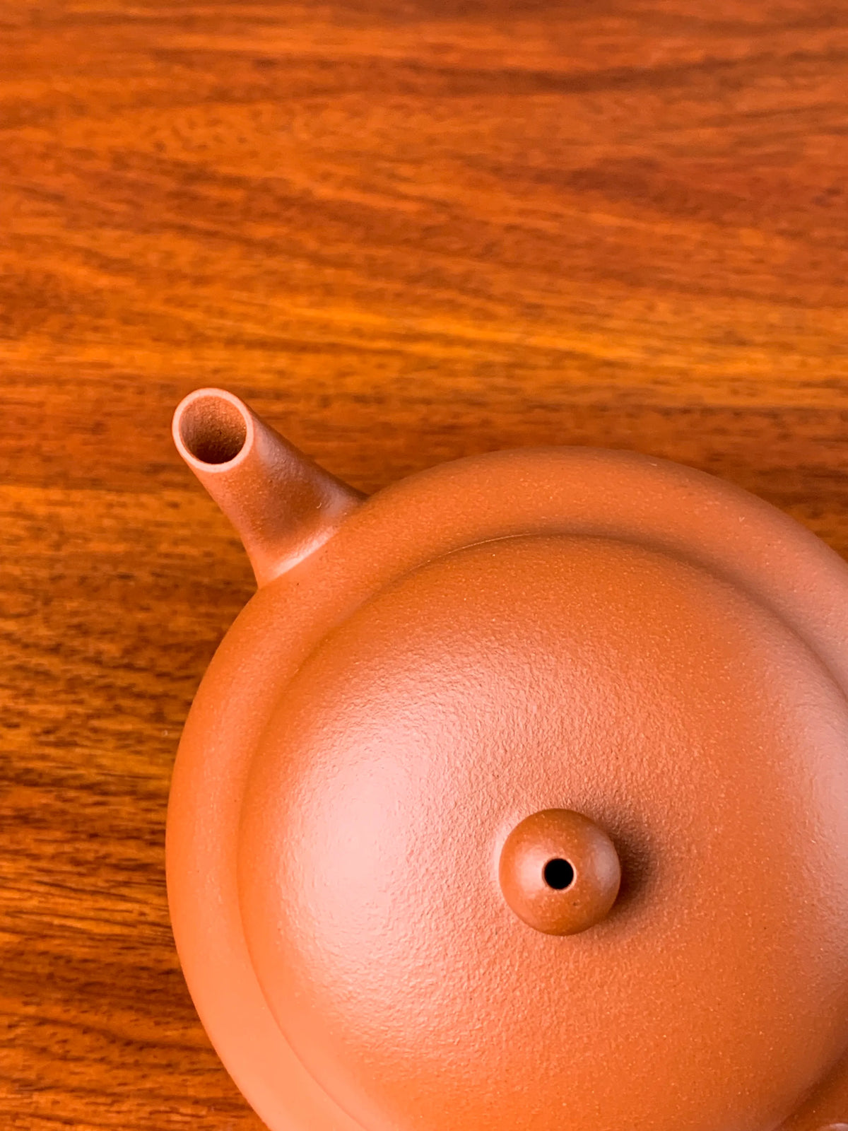 the lid and the spout and the knob of the teapot