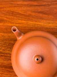 the lid and the spout and the knob of the teapot
