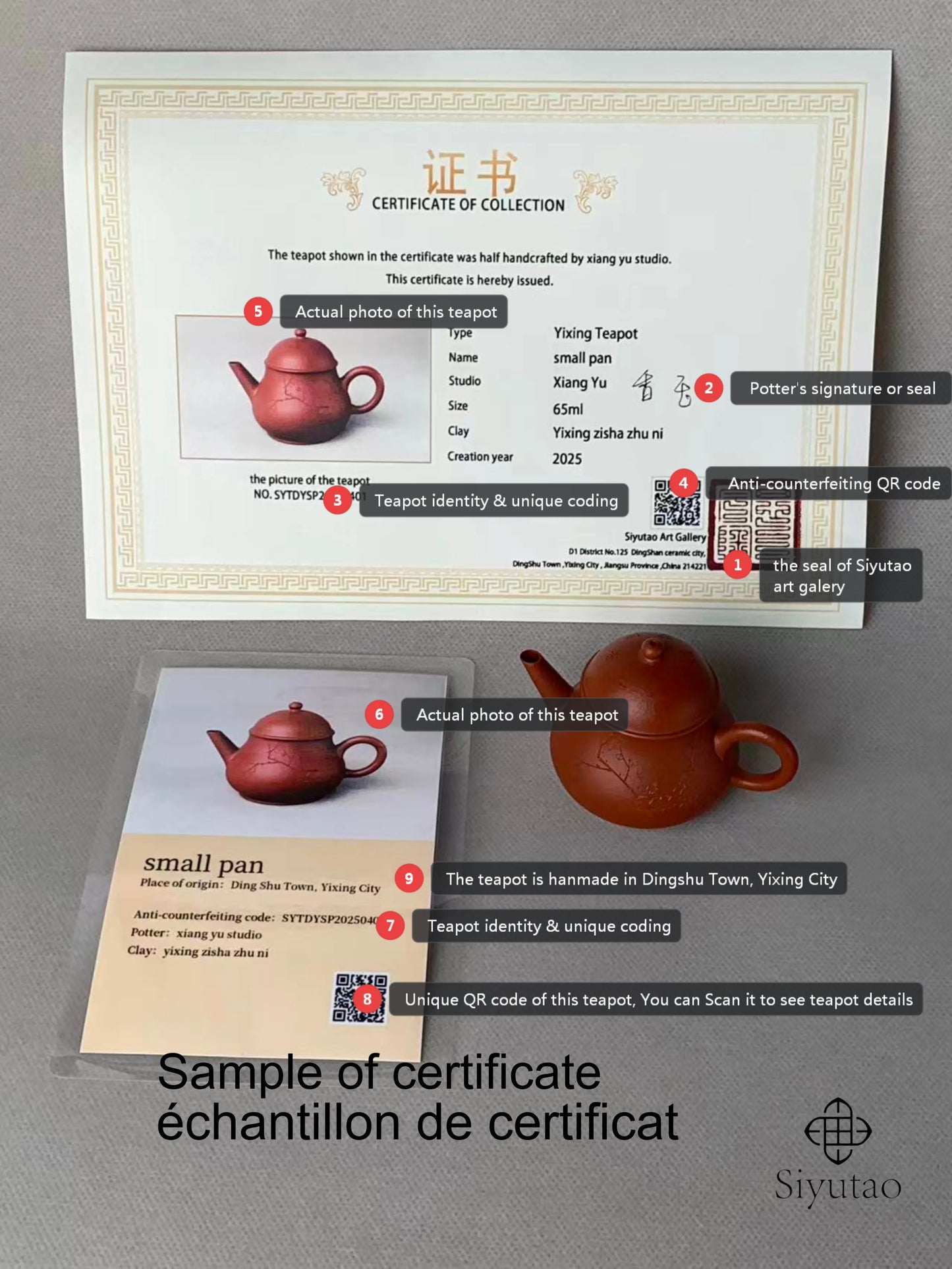 sample of certificate