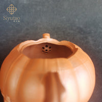 Siyutao artwork pumpkin 175ml handcrafted teapot - SiYuTao Teapot