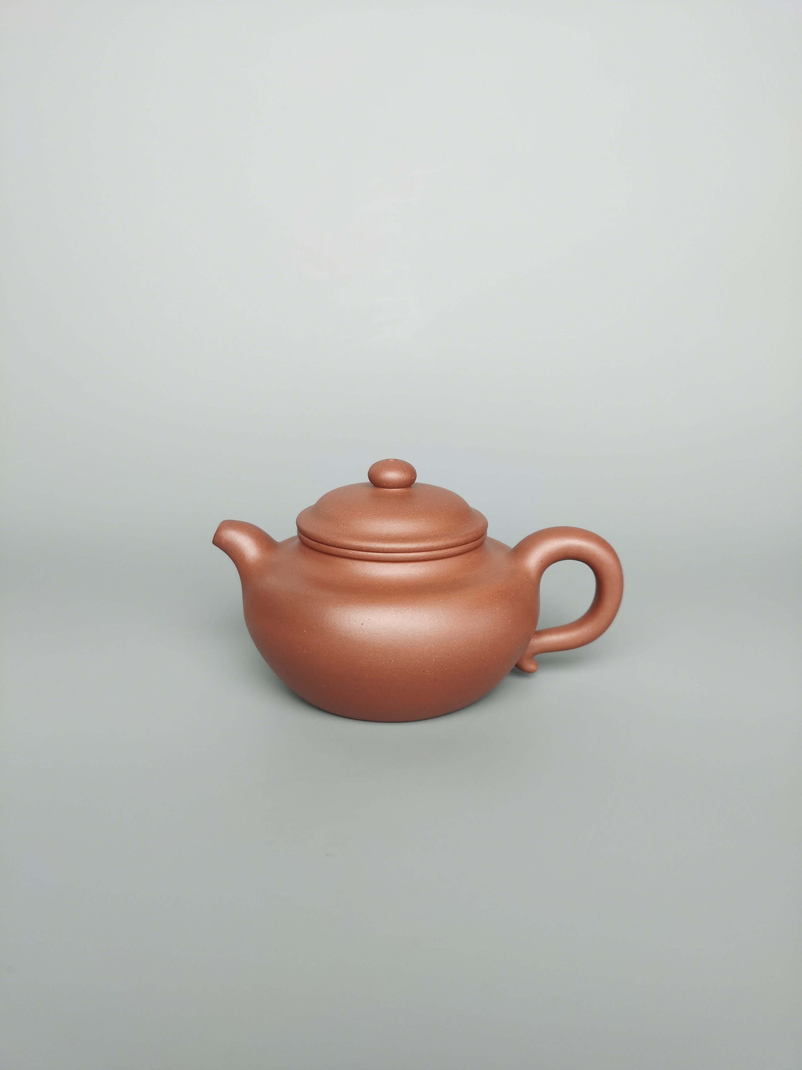 Siyutao Fang Gu teapot 205ml full handcraft teapot - SiYuTao Teapot