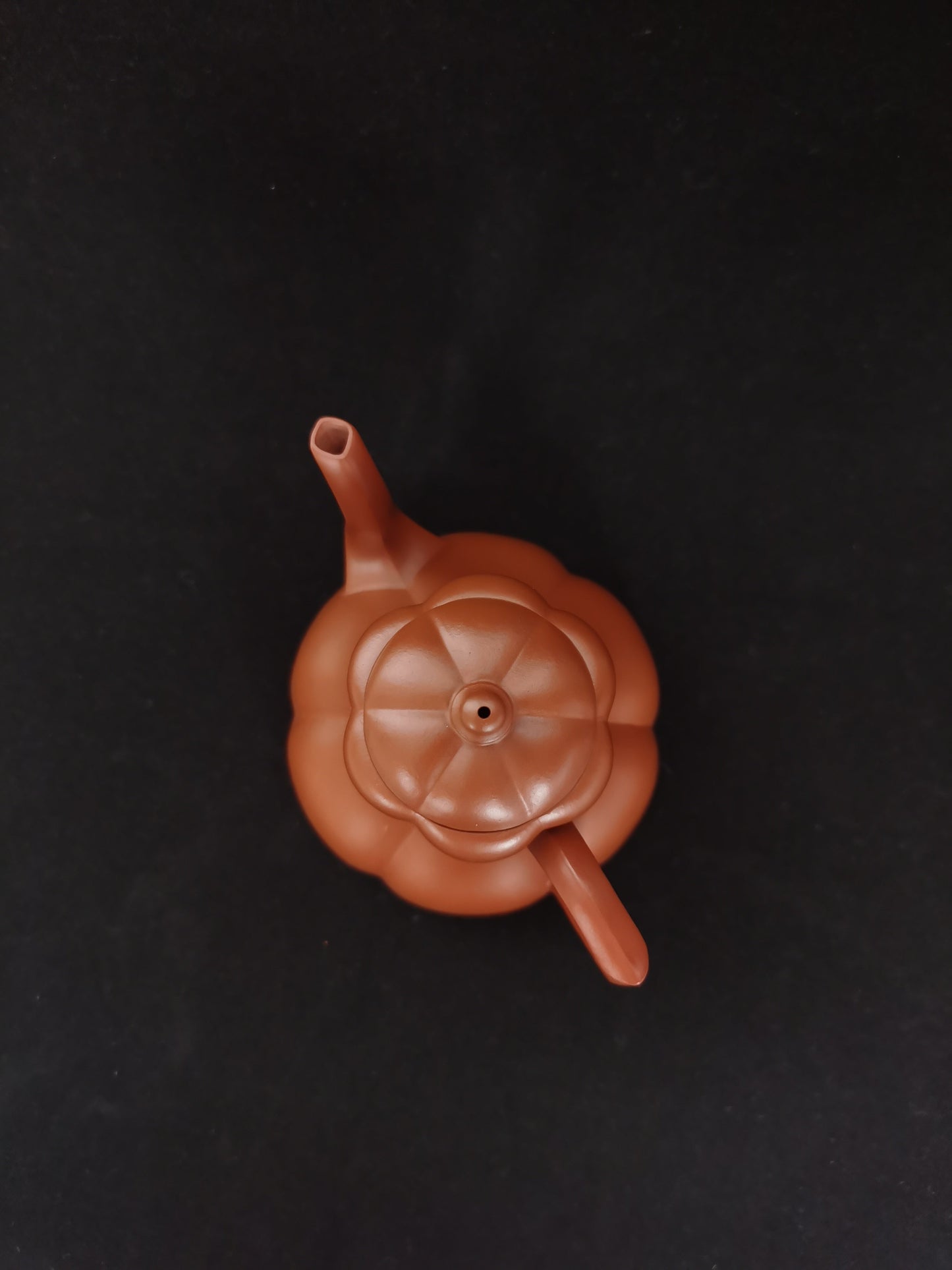 Siyutao the Magnolia full handcrafted 180ml yixing teapot - SiYuTao Teapot